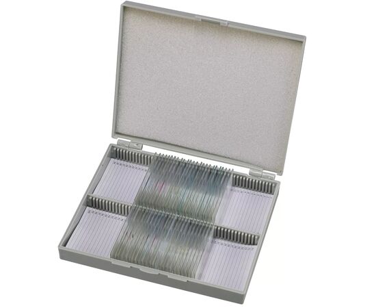 Набір мікропрепаратів Bresser Histology 30 шт (5985000) (931505)
