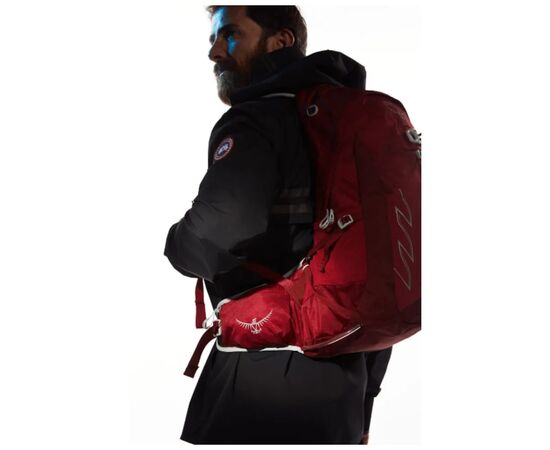 Рюкзак туристический Osprey Talon 22 (2024) eclipse grey - L/XL - сірий (009.2322), изображение 8 Рюкзак туристический Osprey Talon 22 (2024) eclipse grey - L/XL - сірий (009.2322), изображение 8