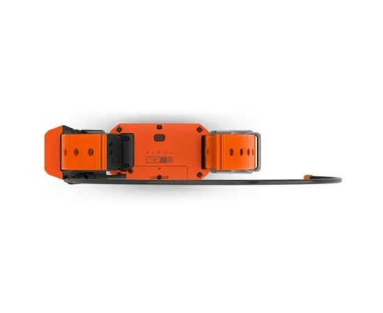 Персональный навигатор Garmin Alpha T20 GPS collar GPS (010-02447-01), изображение 5 Персональный навигатор Garmin Alpha T20 GPS collar GPS (010-02447-01), изображение 5
