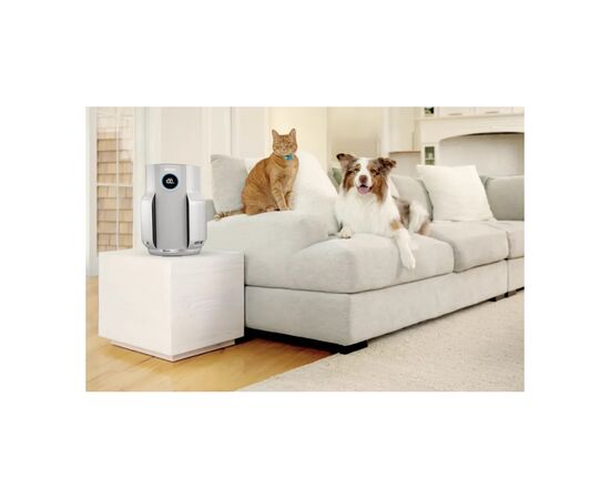 Воздухоочиститель Shark NeverChange5 Air Purifier (HP150EU), изображение 3 Воздухоочиститель Shark NeverChange5 Air Purifier (HP150EU), изображение 3