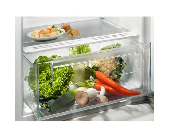Холодильник Electrolux LFB3AE12S1, изображение 2 Холодильник Electrolux LFB3AE12S1, изображение 2