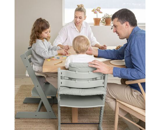 Стульчик для кормления Stokke Tripp Trapp, Glacier Green (дымчато-зеленый) (100139), изображение 3 Стульчик для кормления Stokke Tripp Trapp, Glacier Green (дымчато-зеленый) (100139), изображение 3