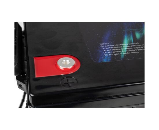 Батарея LiFePo4 Longttech 12.8V - 200Ah (LAR12200-G4D-R32), изображение 6 Батарея LiFePo4 Longttech 12.8V - 200Ah (LAR12200-G4D-R32), изображение 6