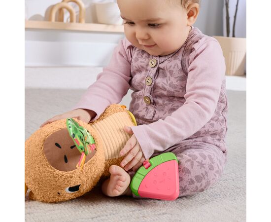 Развивающая игрушка Fisher-Price Капибара (HYR54), изображение 10 Развивающая игрушка Fisher-Price Капибара (HYR54), изображение 10