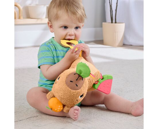 Развивающая игрушка Fisher-Price Капибара (HYR54), изображение 11 Развивающая игрушка Fisher-Price Капибара (HYR54), изображение 11