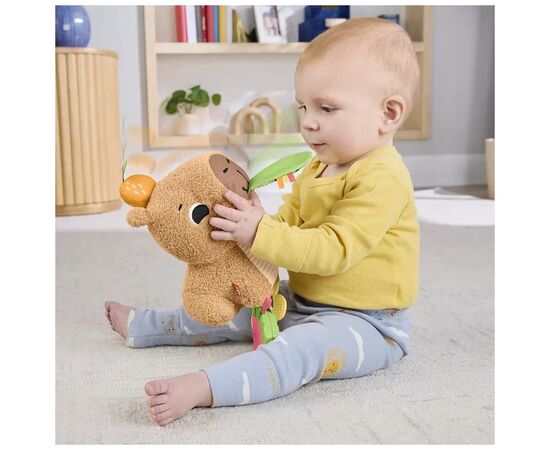 Развивающая игрушка Fisher-Price Капибара (HYR54), изображение 12 Развивающая игрушка Fisher-Price Капибара (HYR54), изображение 12