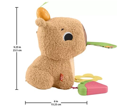 Развивающая игрушка Fisher-Price Капибара (HYR54), изображение 7 Развивающая игрушка Fisher-Price Капибара (HYR54), изображение 7