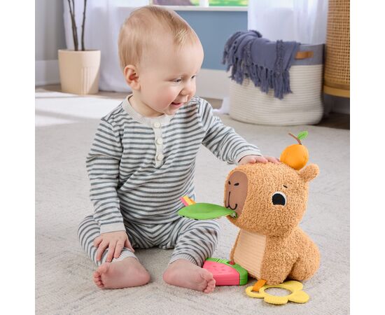 Развивающая игрушка Fisher-Price Капибара (HYR54), изображение 9 Развивающая игрушка Fisher-Price Капибара (HYR54), изображение 9