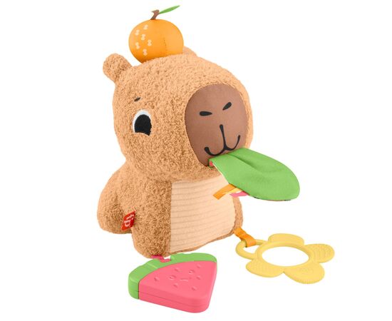 Розвиваюча іграшка Fisher-Price Капібара (HYR54)