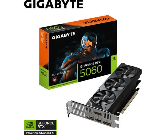 Видеокарта GIGABYTE GeForce RTX5060 8Gb OC Low Profile (GV-N5060OC-8GL), изображение 9 Видеокарта GIGABYTE GeForce RTX5060 8Gb OC Low Profile (GV-N5060OC-8GL), изображение 9
