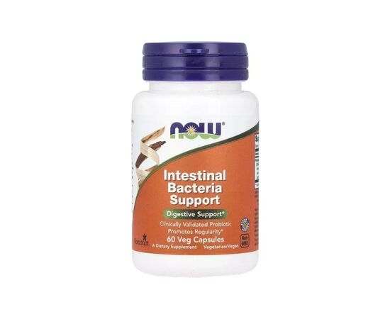 Вітамінно-мінеральний комплекс Now Foods Підтримка бактерій кишківника, Intestinal Bacteria Support, 60 вегет (NOW-02903)