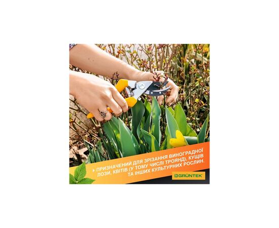 Секатор Gruntek Gerfalke обвідний, d 18мм, 210мм (295108226), зображення 5 Секатор Gruntek Gerfalke обвідний, d 18мм, 210мм (295108226), зображення 5