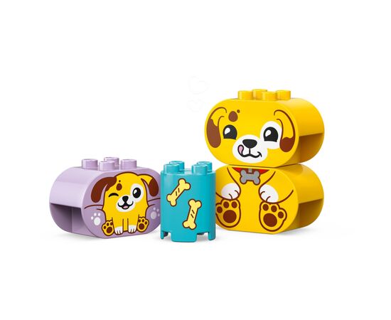 Конструктор LEGO DUPLO My First Сортировщик фигур: дом для щенков: дом для щенков (10441), изображение 3 Конструктор LEGO DUPLO My First Сортировщик фигур: дом для щенков: дом для щенков (10441), изображение 3