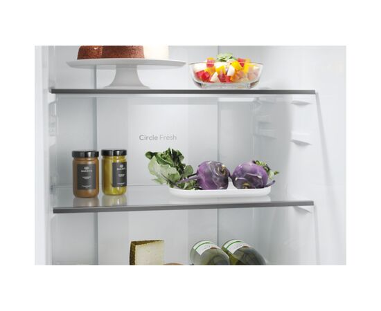 Холодильник Candy CNCQ2T518EW, изображение 10 Холодильник Candy CNCQ2T518EW, изображение 10