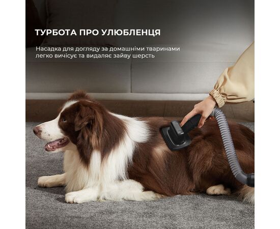 Пылесос Dreame Z30 (VZV17A), изображение 2 Пылесос Dreame Z30 (VZV17A), изображение 2