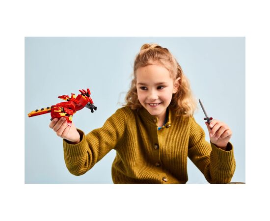 Конструктор LEGO Harry Potter Фоукс: Феникс Дамблдора (76448), изображение 9 Конструктор LEGO Harry Potter Фоукс: Феникс Дамблдора (76448), изображение 9
