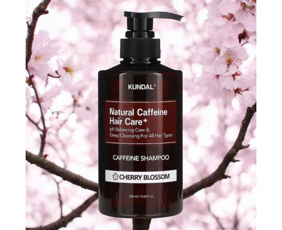 Шампунь Kundal Natural Caffeine & Intensive Scalp Care Shampoo Cherry Blossom 500 мл (8809568745772), изображение 2 Шампунь Kundal Natural Caffeine & Intensive Scalp Care Shampoo Cherry Blossom 500 мл (8809568745772), изображение 2