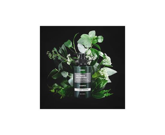 Шампунь Kundal Tea Tree & Macadamia Deep Cleansing Shampoo Baby Powder 500 мл (8809693252787), изображение 3 Шампунь Kundal Tea Tree & Macadamia Deep Cleansing Shampoo Baby Powder 500 мл (8809693252787), изображение 3