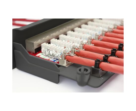 Патч-панель 19" 24xRJ-45 STP cat.6a, 1U, black Digitus (DN-91624S-EA-B), изображение 6 Патч-панель 19" 24xRJ-45 STP cat.6a, 1U, black Digitus (DN-91624S-EA-B), изображение 6
