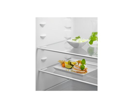 Холодильник Electrolux RNT6NE18S, изображение 3 Холодильник Electrolux RNT6NE18S, изображение 3