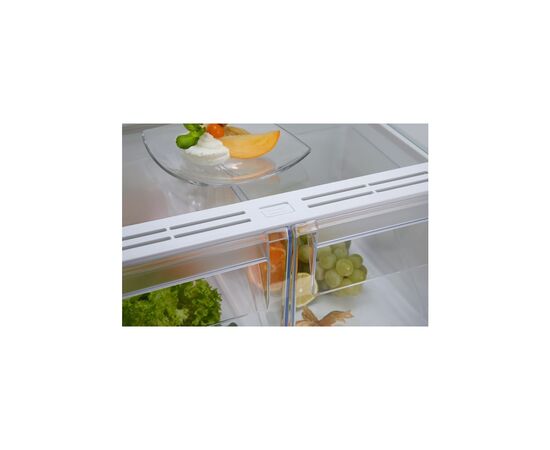 Холодильник Electrolux RNT6NE18S, изображение 4 Холодильник Electrolux RNT6NE18S, изображение 4