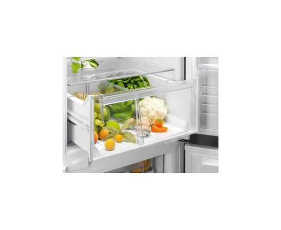 Холодильник Electrolux RNT6TE19S, изображение 3 Холодильник Electrolux RNT6TE19S, изображение 3