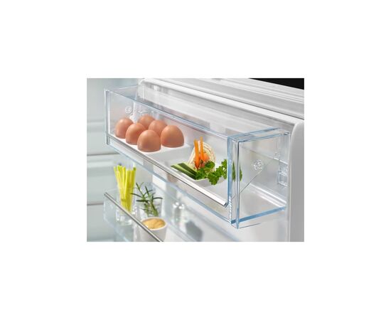 Холодильник Electrolux RNT6TE19S, изображение 4 Холодильник Electrolux RNT6TE19S, изображение 4