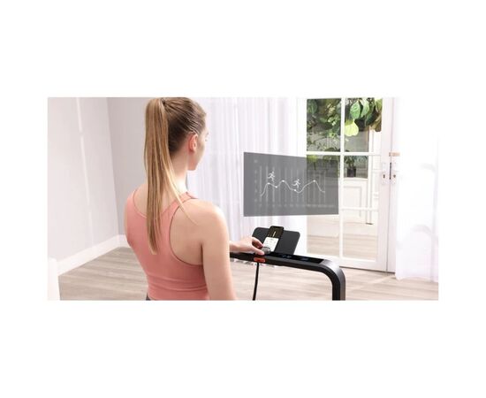 Беговая дорожка Kingsmith WalkingPad X214 (WP460B4) (X214), изображение 12 Беговая дорожка Kingsmith WalkingPad X214 (WP460B4) (X214), изображение 12