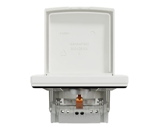 Розетка Schneider Electric ASFORA з кришкою IP44, біла (EPH3100321), изображение 6 Розетка Schneider Electric ASFORA з кришкою IP44, біла (EPH3100321), изображение 6