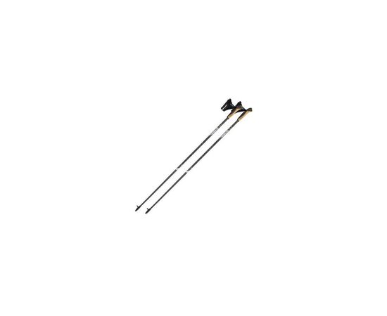 Палиці для скандинавської ходи Gabel X-5 Black 120 (7009351141200) (DAS303052)