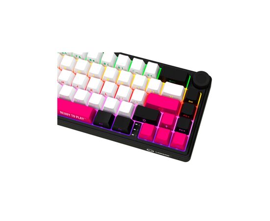 Клавіатура Lorgar KBP70MW Pro RGB Wireless/Bluetooth/USB UA Black/red (LRG-KBP70MW-BK-US), зображення 6 Клавіатура Lorgar KBP70MW Pro RGB Wireless/Bluetooth/USB UA Black/red (LRG-KBP70MW-BK-US), зображення 6