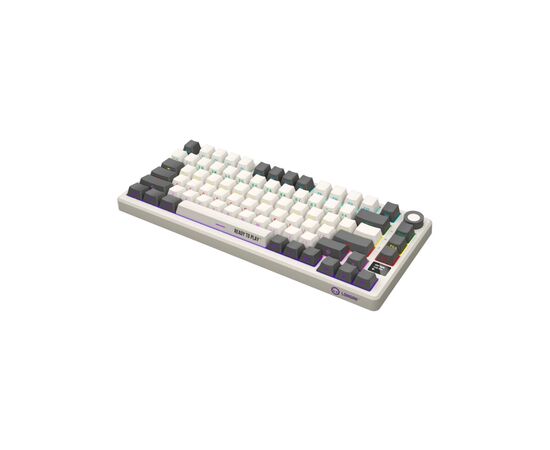 Клавиатура Lorgar KBP7075W Pro RGB Wireless/Bluetooth/USB UA Beige (LRG-KBP7075W-RT-US), изображение 3 Клавиатура Lorgar KBP7075W Pro RGB Wireless/Bluetooth/USB UA Beige (LRG-KBP7075W-RT-US), изображение 3