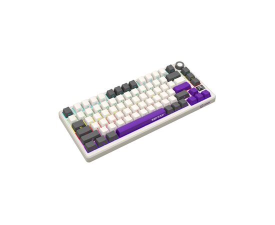 Клавиатура Lorgar KBP7075W Pro RGB Wireless/Bluetooth/USB UA Beige (LRG-KBP7075W-RT-US), изображение 4 Клавиатура Lorgar KBP7075W Pro RGB Wireless/Bluetooth/USB UA Beige (LRG-KBP7075W-RT-US), изображение 4