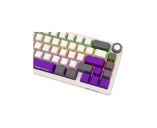 Клавіатура Lorgar KBP70MW Pro RGB Wireless/Bluetooth/USB UA Beige (LRG-KBP70MW-RT-US), зображення 5 Клавіатура Lorgar KBP70MW Pro RGB Wireless/Bluetooth/USB UA Beige (LRG-KBP70MW-RT-US), зображення 5