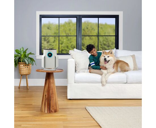 Воздухоочиститель Shark NeverChange5 Air Purifier Compact Pro (HP072EU), изображение 6 Воздухоочиститель Shark NeverChange5 Air Purifier Compact Pro (HP072EU), изображение 6