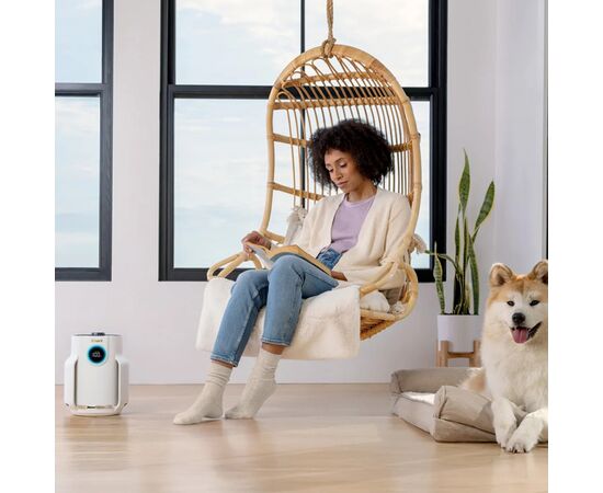 Воздухоочиститель Shark NeverChange5 Air Purifier Compact Pro (HP072EU), изображение 7 Воздухоочиститель Shark NeverChange5 Air Purifier Compact Pro (HP072EU), изображение 7