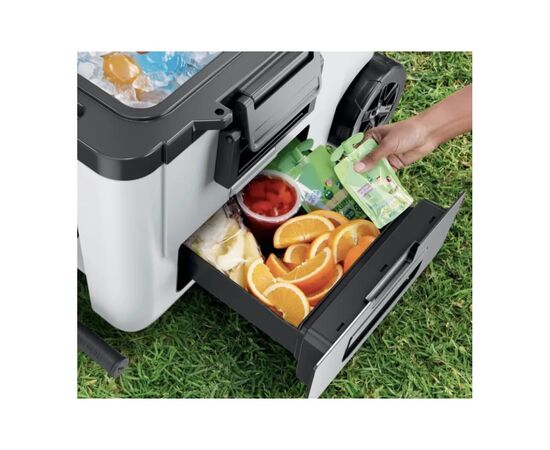 Термобокс Ninja FrostVault 42L Hard Coole White (FB245EUWH), изображение 4 Термобокс Ninja FrostVault 42L Hard Coole White (FB245EUWH), изображение 4