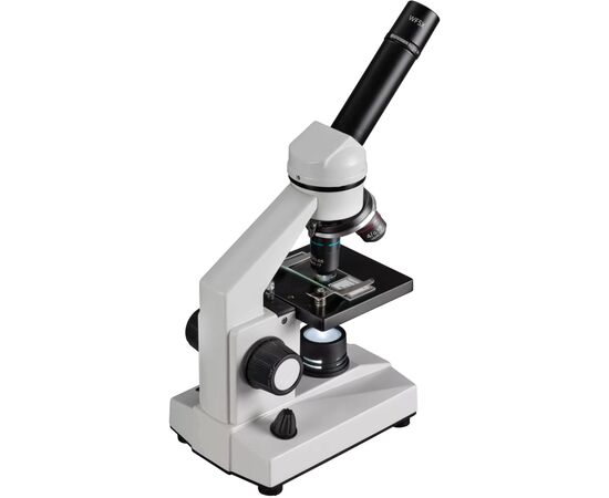 Микроскоп Bresser Biolux DLX 20x-1280x (5014000) (931424), изображение 2 Микроскоп Bresser Biolux DLX 20x-1280x (5014000) (931424), изображение 2