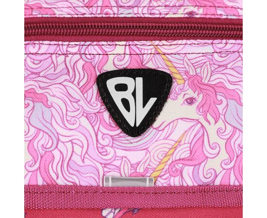 Рюкзак шкільний Bagland BL Відмінник 20 л. Малиновий 888 (00058070) (1123921618), зображення 4 Рюкзак шкільний Bagland BL Відмінник 20 л. Малиновий 888 (00058070) (1123921618), зображення 4