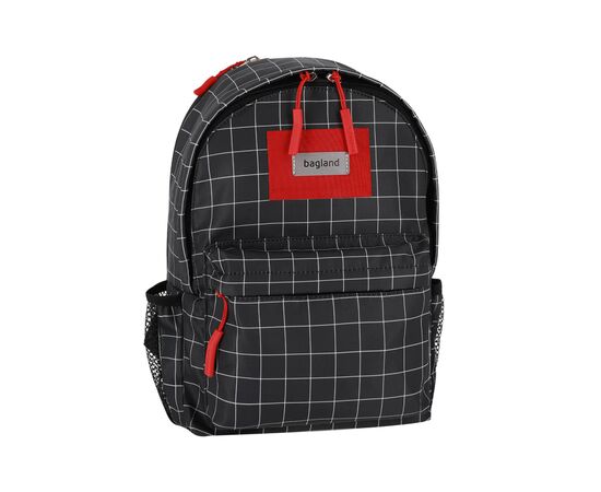 Рюкзак школьный Bagland Stylish S 8л сублімація 1339 (00554694) (1119520744)