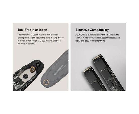 Кишеня зовнішня ASUS SSD PCIe NVMe M.2 2230/2242/2260/2280 USB Type-C 3.2 Gen 2x1 black (90DD02R0-M09000), зображення 2 Кишеня зовнішня ASUS SSD PCIe NVMe M.2 2230/2242/2260/2280 USB Type-C 3.2 Gen 2x1 black (90DD02R0-M09000), зображення 2