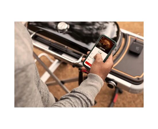 Кухонный термометр Weber Grilling Hub (3202), изображение 5 Кухонный термометр Weber Grilling Hub (3202), изображение 5