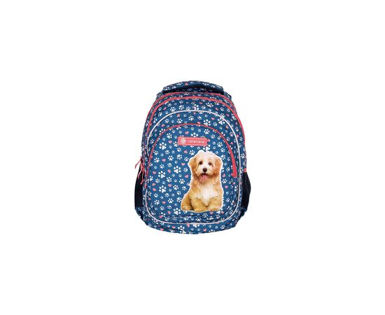 Рюкзак школьный Astrabag AB330 Cute puppy (502022140)