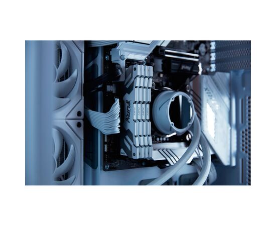 Модуль памяти для компьютера DDR5 48GB (2x24GB) 8000 MHz Renegade White/Silver Kingston Fury (ex.HyperX) (KF580C38RWK2-48), изображение 8 Модуль памяти для компьютера DDR5 48GB (2x24GB) 8000 MHz Renegade White/Silver Kingston Fury (ex.HyperX) (KF580C38RWK2-48), изображение 8