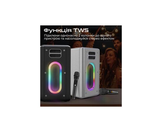 Акустическая система HiFuture MusicBox 100W Silver (musicbox.silver), изображение 5 Акустическая система HiFuture MusicBox 100W Silver (musicbox.silver), изображение 5