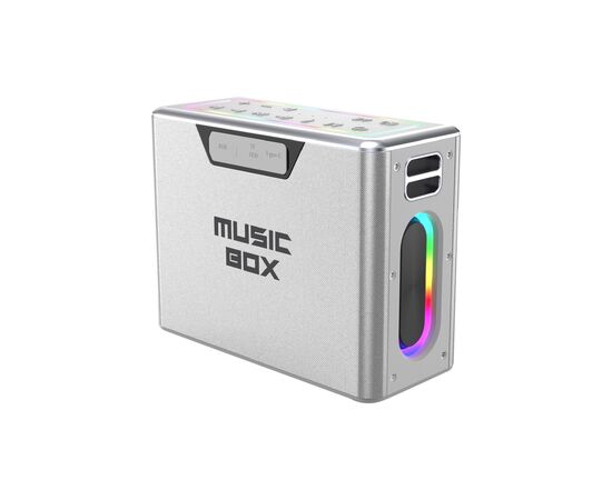 Акустична система HiFuture MusicBox 100W Silver (musicbox.silver)