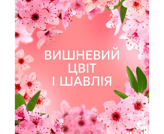 Кондиционер для белья Lenor Вишневый цвет и шалфей 675 мл (8700216723657), изображение 6 Кондиционер для белья Lenor Вишневый цвет и шалфей 675 мл (8700216723657), изображение 6