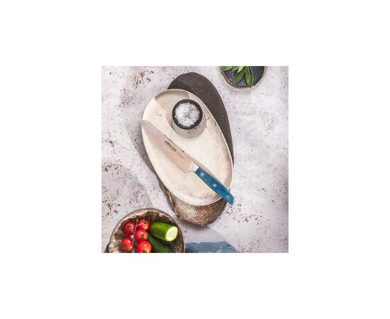 Кухонный нож Arcos серія "Brooklyn" поварський 150 мм (190423), изображение 5