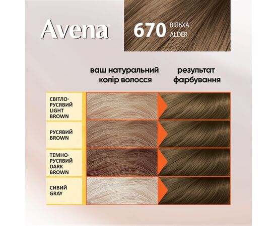 Фарба для волосся Acme Color Avena Shine Color Стійка 670 - Вільха (4823115502599), зображення 5