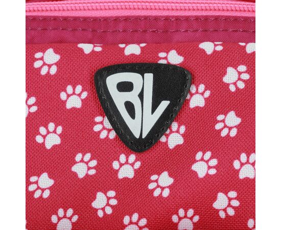 Рюкзак школьный Bagland BL Школяр 8 л. 143 малина 1073 (00012870) (1123820966), изображение 4